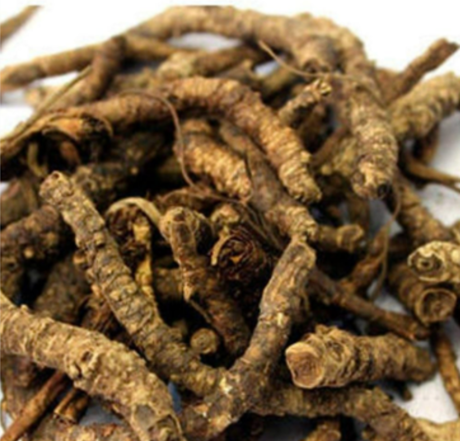 Ayurvedic herbs for liver health